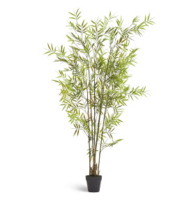 Бамбук японский Style (с UV-фильтром) 