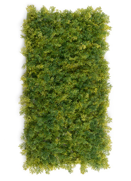 Мох Ягель зелёный микс (коврик)