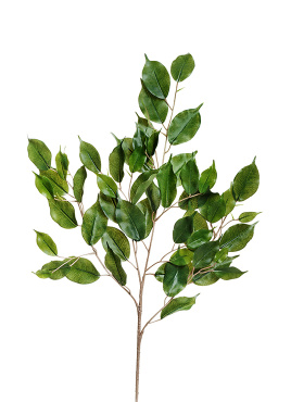 Ветка фикуса Бенджамина 75 см