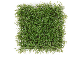 Коврик газон Рясковый Мох