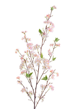 Ветка Сакуры нежно-розовая Дворец императора большая