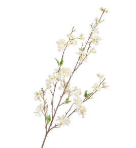 Ветка Сакуры белая Дворец императора средняя