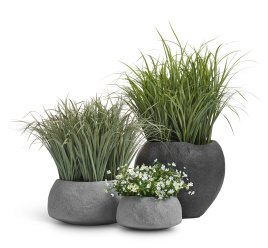 Сет № 27 - Лемонграсс и Альпийское разнотравье с белыми цветами в кашпо Treez Effectory Organic