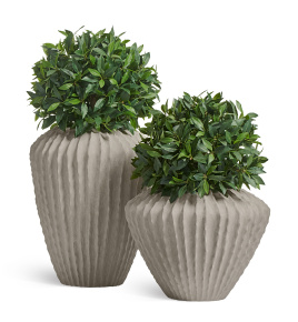 Сет № 32 - Композиция с Лаврами в кашпо Treez Effectory Moho