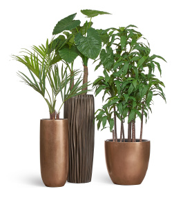 Сет № 41 - Композиция в бронзовых кашпо Treez Effectory Metal