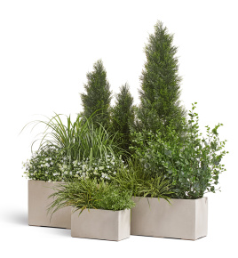 Сет № 45 - Композиция уличная большая в кашпо Treez Effectory Beton Белый песок прямоугольник