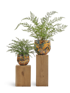 Сет № 53 - Композиция с папоротниками в кашпо Treez Effectory Savage Garden