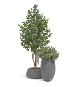 Сет № 59 - Композиция с Эвкалиптом и Кроссостефиумом Миллер в кашпо Treez Effectory Organic