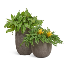 Сет № 128 - Композиция с гусманией в кашпо Treez Effectory Terra