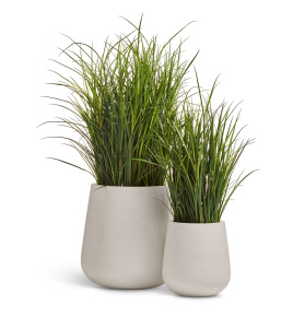 Сет № 153 - Композиция с тростником в кашпо Treez Effectory Fine Rock