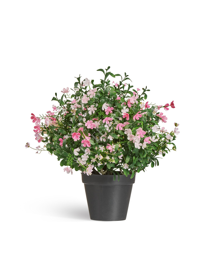 Альпийское разнотравье с нежно-розовыми и белыми цветами (3 размера) фото