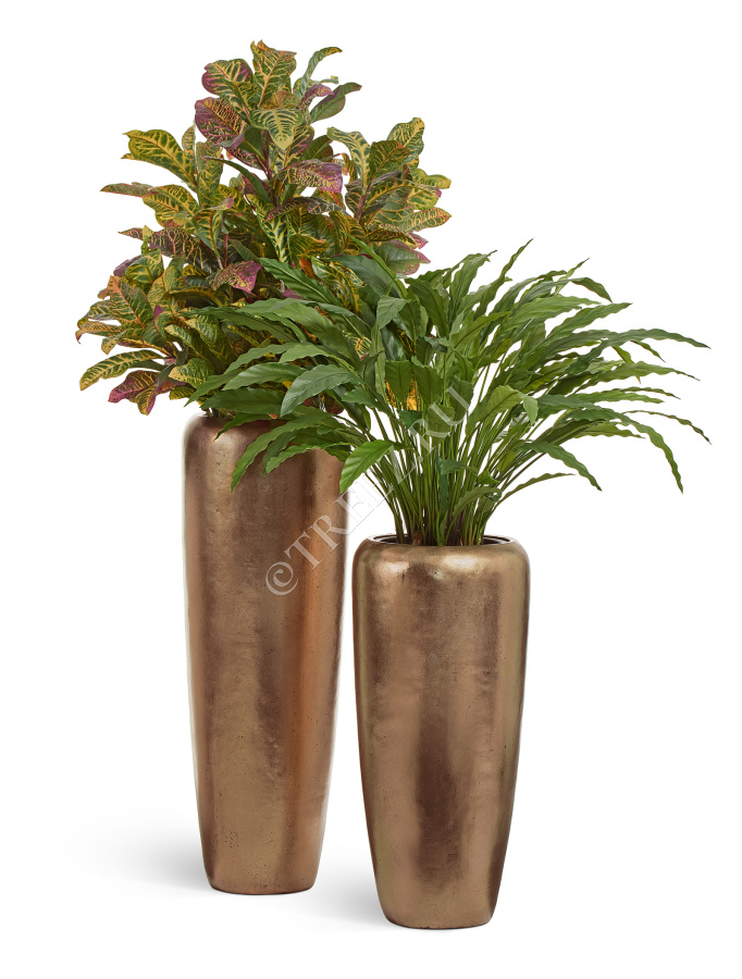 Кротон куст Большой зелёно-жёлто-розовый (Sensitive Botanic) фото