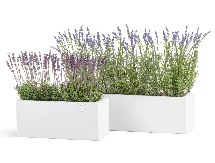 Кашпо TREEZ ERGO - Just - Узкий низкий прямоугольник - Белый камень фото