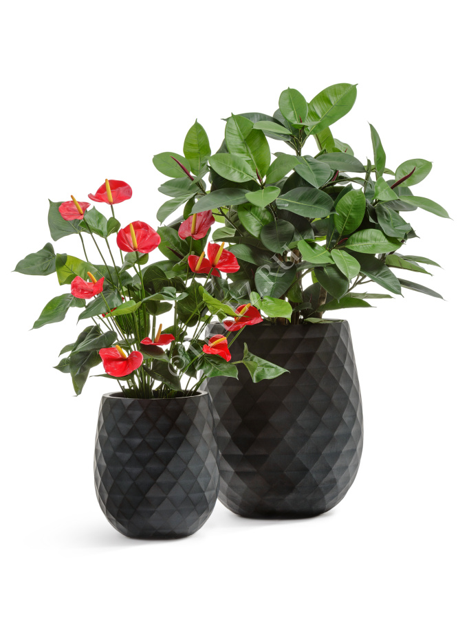 Кашпо TREEZ ERGO - Diamond - Округлая чаша - Антрацит фото