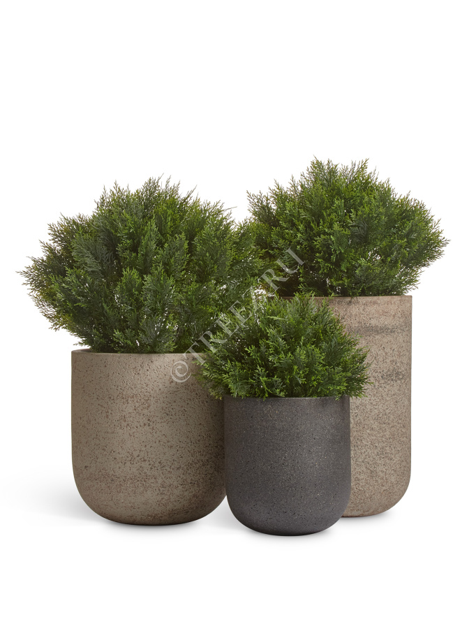 Кашпо TREEZ ERGO - Hard Rock - Цилиндрическая Чаша - Песок серый беж фото