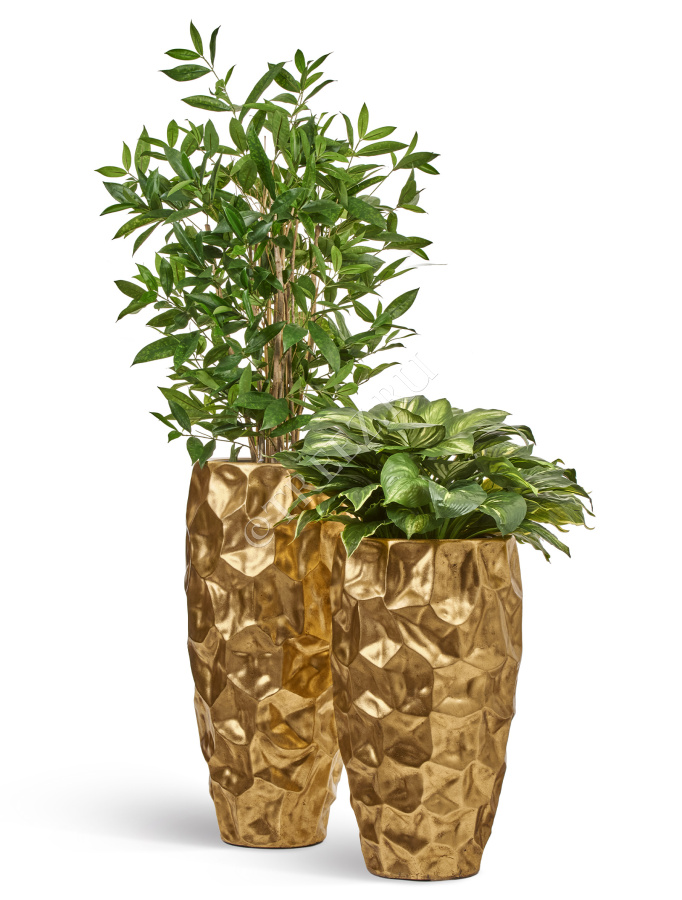 Сет № 15 - Композиция c хостой в кашпо Treez Effectory Metal Design Crumple Сусальное золото фото