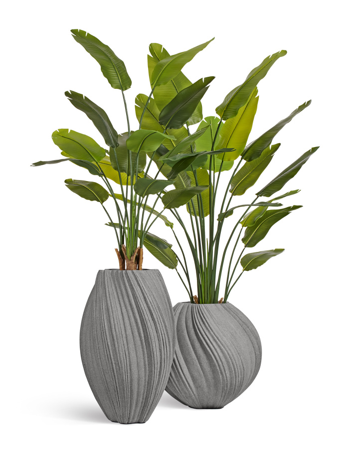 Сет № 17 - Композиция со стрелициями в кашпо Treez Effectory Dune Дымчато-серый песок фото