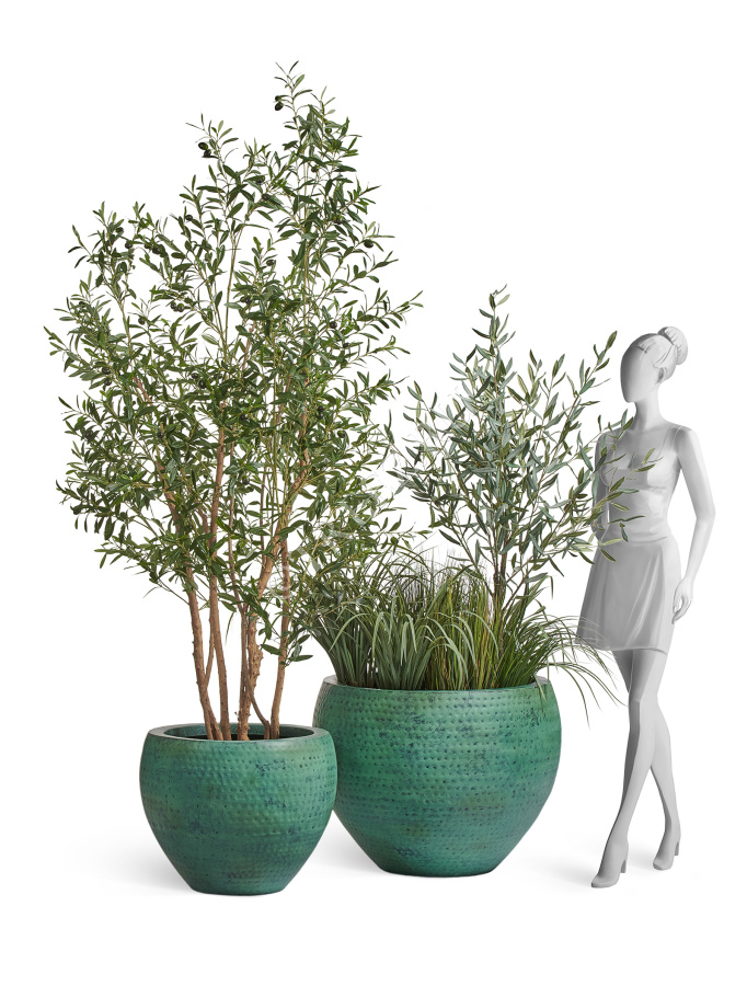 Сет № 66 - Композиция с Оливами и Лемонграссом в кашпо Treez Effectory Ron фото