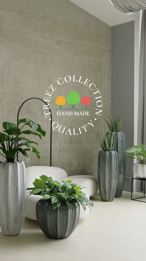 Алоэ куст в горшке фото